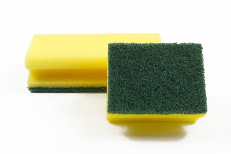 Griffschwamm Scheuerpad